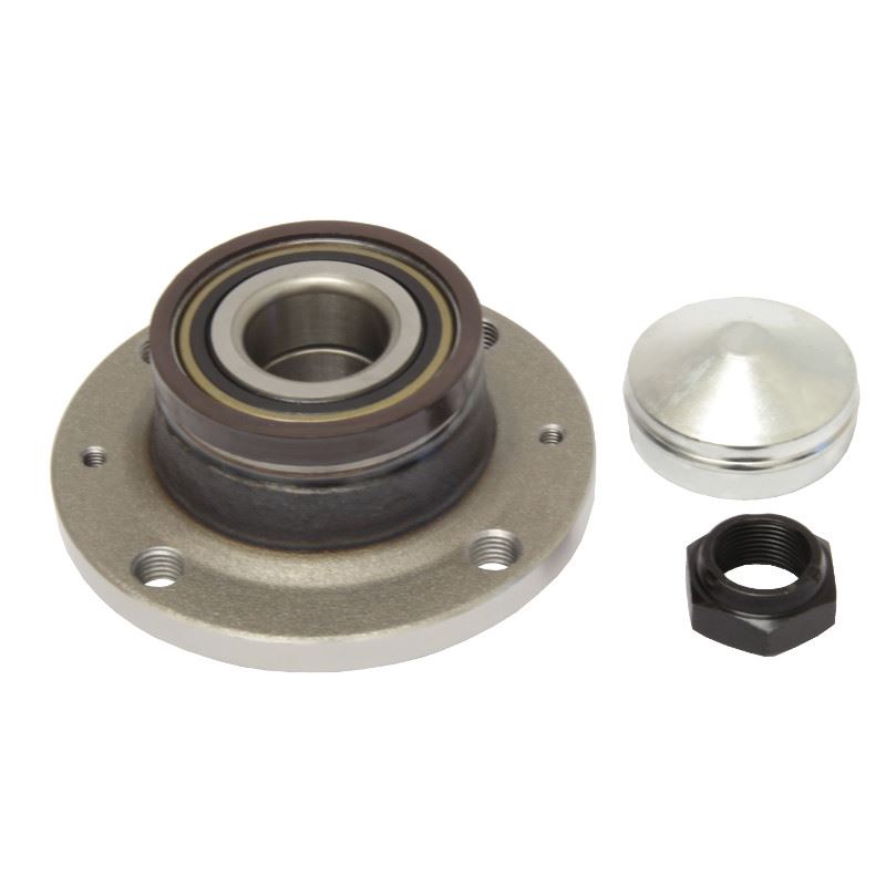 Fiat Grande Punto 2005-2018 Rear Wheel Bearing Kit